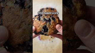 Freezer Scone Method baking scones shorts [upl. by Crichton619]