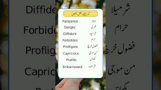 Learn English Vocabulary english vocabulary spokenenglish education [upl. by Yerxa452]