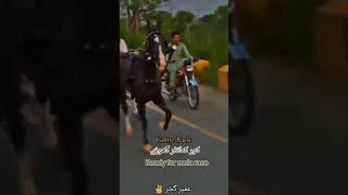 PegionampHorse social work all Pakistan tanga race [upl. by Ludewig431]