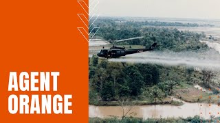 Agent Orange Used In Vietnam War [upl. by Ecirual]