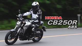 【オートバイ】HONDA CB250R（2018年） 試乗レポート [upl. by Maddock627]