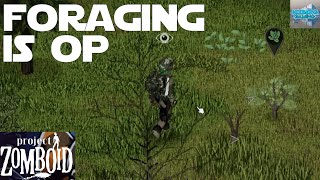 Foraging is OP in Project Zomboid [upl. by Bigg]