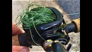 How to Set Up A Bait Cast Reel like A PRO [upl. by Gati]