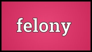 Felony Meaning [upl. by Mrots239]