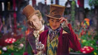 Pure Imagination  Gene Wilder amp Timothée Chalamet Duet [upl. by Ecela710]