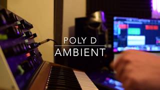 Poly D Ambient [upl. by Nord375]