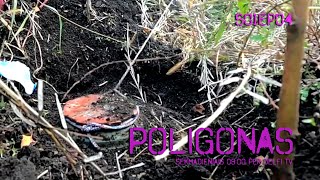 Poligonas Pavojingas išminuotojo amatas [upl. by Camus735]