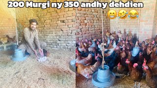 EGGS FARMING K LYE DESI MURGIYA LAY AY HAIN HUM [upl. by Edmonds]