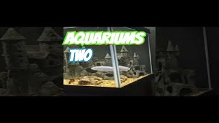 AMAZING 125 GALLON AQUARIUM SETUP  55 GALLON AQUARIUM SETUP [upl. by Haddad]