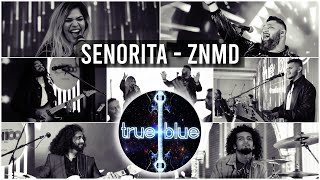 True Blue Goa  Señorita LIVE Bollywood Cover [upl. by Ettezyl]