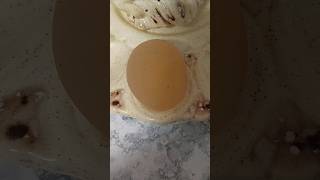 Our Hen Layed A Gel Or Soft Shelled Egg [upl. by Atselec]