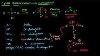 CYP450 part 2  Elimination after Hydroxylation [upl. by Lari]