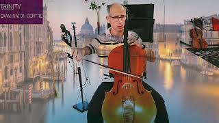 A VIVALDI Sonata RV40 for cello amp bassocontinuo vivaldi baroquemusic maccarronecello venezia [upl. by Sualocin]