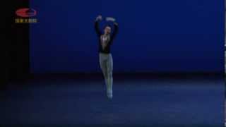 Giselle act2 Albert variation [upl. by Zandt]