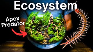 Creating a Multi Species Ecosystem Inside a Glass Bowl [upl. by Ahsaela680]