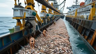 How American Overfishing Is Depleting Our Oceans  Giant Bottom Trawls [upl. by Nhguavaj]