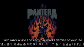 니가 선택한 세상이다 악을 깡으로 버텨라 한글자막 판테라 panteradomınatıon [upl. by Alleynad]