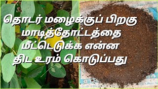 மழைக்குப் பிறகும் தோட்டம் செழிக்க இந்த உரம் போதும் Fertilizer to rejuvenate the garden after rain [upl. by Esilenna]