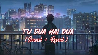 Tu dua hai dua slowed and reverb  Ishq Ne Crazy Kiya Re  Shree Nilkanth YT [upl. by Niran]