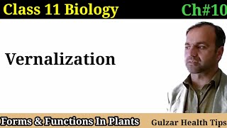 Vernalization  significance of Vernalization  Forms and functions in plants  Class 11th Biology [upl. by Eelarat]