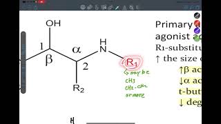 Adrenergic system part 2 [upl. by Donahoe]