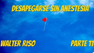 Desapegarse Sin Anestesia  Walter Riso Parte 11 [upl. by Desiree]