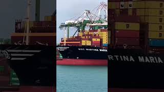 Msc hee Mscmsc mafia shipping china views youtube subscribe sea containership cargoship [upl. by Noe648]