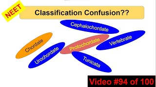 NEET 2024 FAQ Animal kingdom  All vertebrates are chordates but all chordates are not vertebrates [upl. by Calysta]