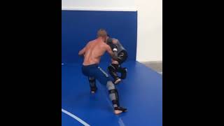 Tj Dillashaw hard low kick [upl. by Suivatnad]