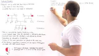 Pedigree Analysis [upl. by Delphina]