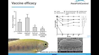 16 A recombinant vaccine targeting Ichthyophthirius multifiliis [upl. by Krever618]