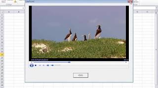 Como REPRODUZIR VÍDEO em Formulário Excel VBA via Códigos [upl. by Atteirneh373]
