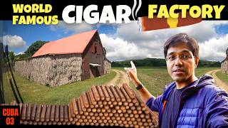 This is How 🔥 WORLD’S BEST CIGARS are Made│🇨🇺 Cuba Vlog 3 [upl. by Ali]