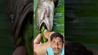 kitna bada mach hai Jungle per fishing fish primitive reaction shorts survivaltools prepper [upl. by Ehcram]