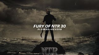 Fury of NTR 30  Slowed  Reverb  Jnr NTR  Anirudh [upl. by Ahseik]