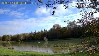 camera heron ou aigrette [upl. by Erdnael]