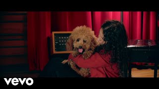 Alessia Cara  The Use In Trying Lyric Video [upl. by Wesa]