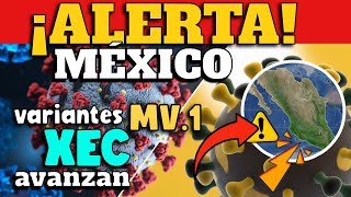 ALERTA EN MÉXICO  VARIANTES MV1 Y XEC AVANZAN [upl. by Floris]