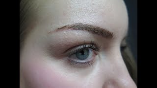 Microblading Healing Process amp Experience day by day [upl. by Maupin]