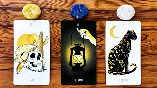 TRUTH REVEALED YOU’RE FINALLY READY TO HEAR IT 🌟💡📖  Pick a Card Tarot Reading [upl. by Olgnaed]