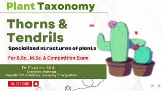 Thorns Tendrils amp Phylloclade  Specialized structures of plants  Dr Praveen Mohil [upl. by Kcirdla]