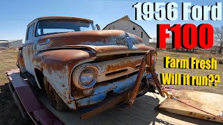 We rescued a 1956 Ford F100 straight off a Kansas ranch Will it run again [upl. by Home]