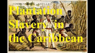 32 When sugar ruled the world Plantation slavery in the 18th c Caribbean [upl. by Aket]