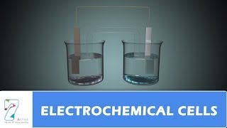 ELECTROCHEMICAL CELLS [upl. by Etterb]