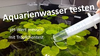 Aquariumwasser analysieren mit Tröpfchentest sera aqua test box [upl. by Roobbie]