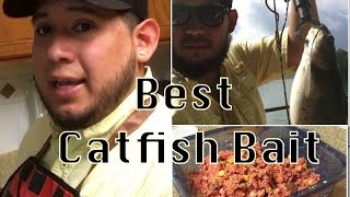 Best Catfish Bait Recipe with DJ MOE [upl. by Bax918]