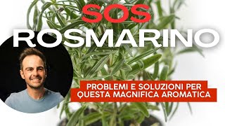 SOS rosmarino soluzione per tutti i problemi che può avere questa pianta [upl. by Attevad]