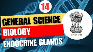 Endocrine Glands  Biology for BPSC  UPPSC  General Science for BPSC  UPPSC [upl. by Nnalyrehc]