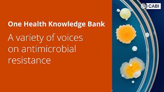 CABI One Health Knowledge Bank webinar A Variety of Voices on AMR [upl. by Christensen]