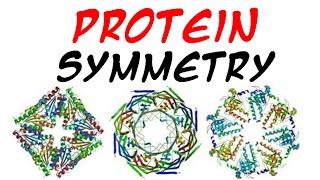 Protein symmetry  structural symmetry [upl. by Dafodil636]